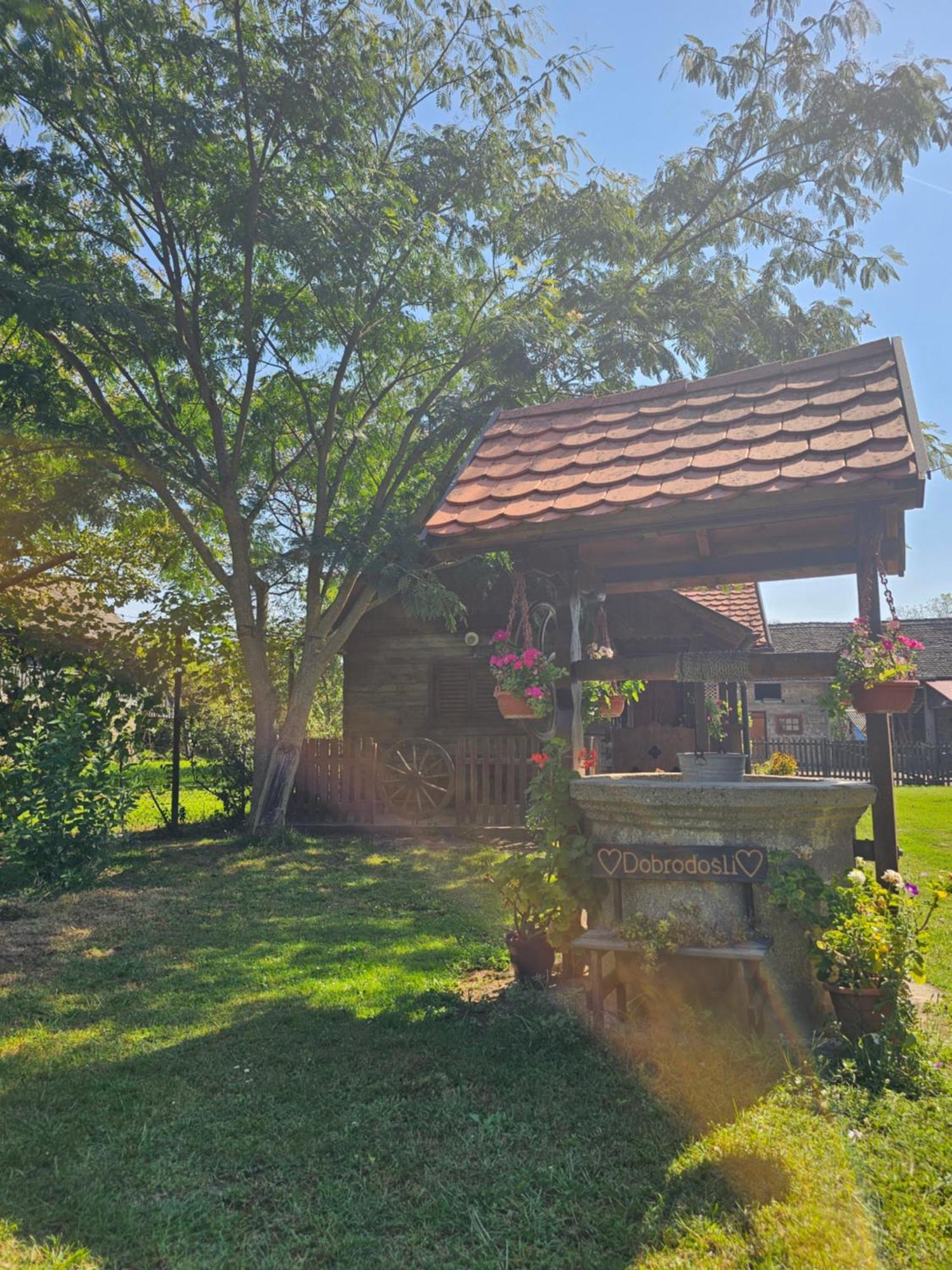 Apartments Kuvarna Čigoč Dış mekan fotoğraf